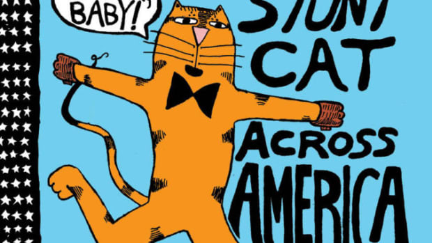 Stunt-Cat-Across-America