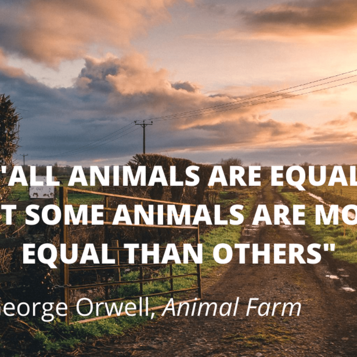 10 Equal Quotes From Animal Farm By George Orwell Writer S Digest