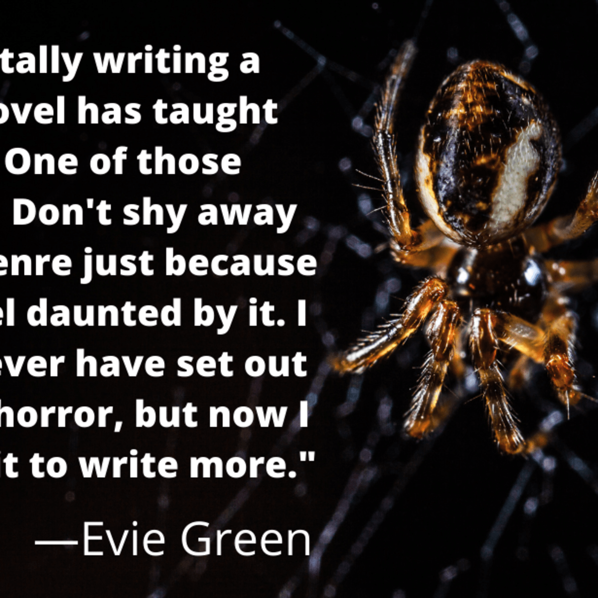 On Writing a Horror Novel Without Intending to Write Horror