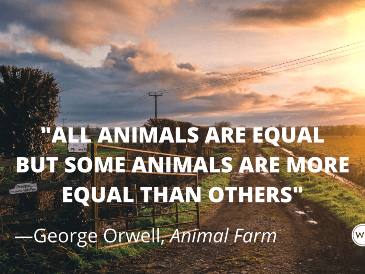 10 Equal Quotes From Animal Farm By George Orwell Writer S Digest