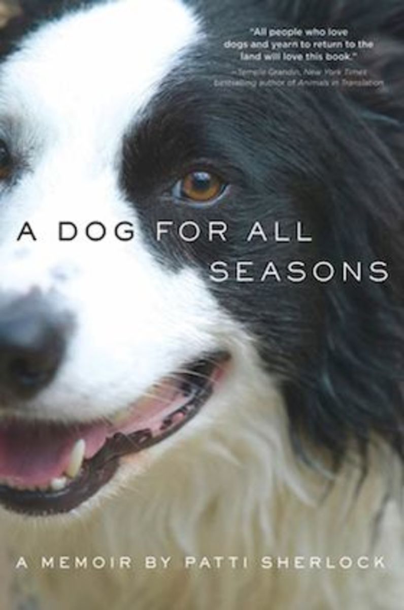 A Dog for All Seasons