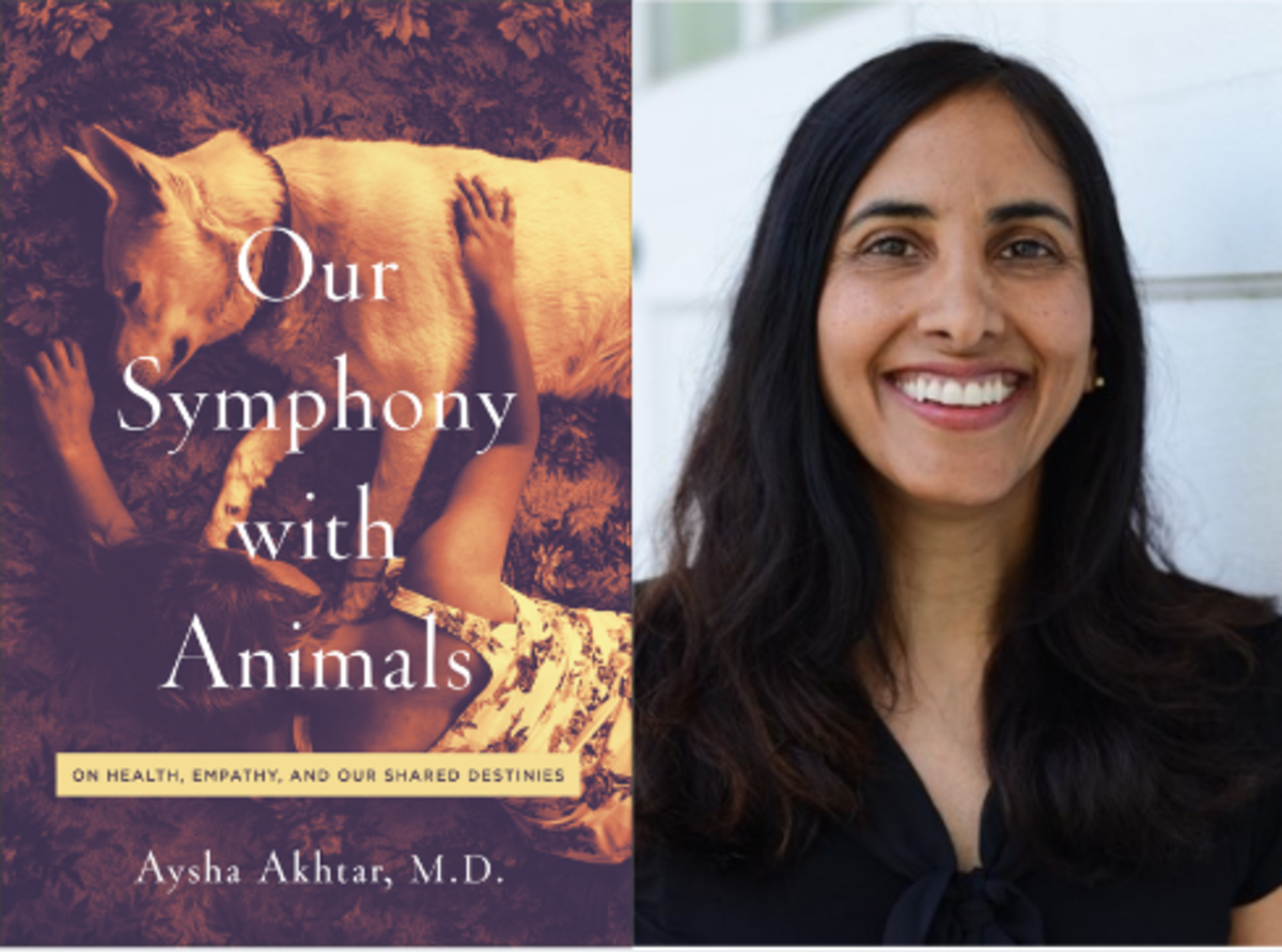 Aysha Akhtar Our Sympathy With Animals