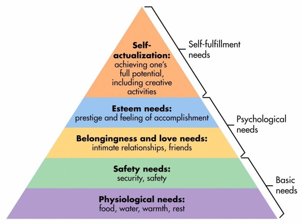 maslows hierarchy of needs short essay