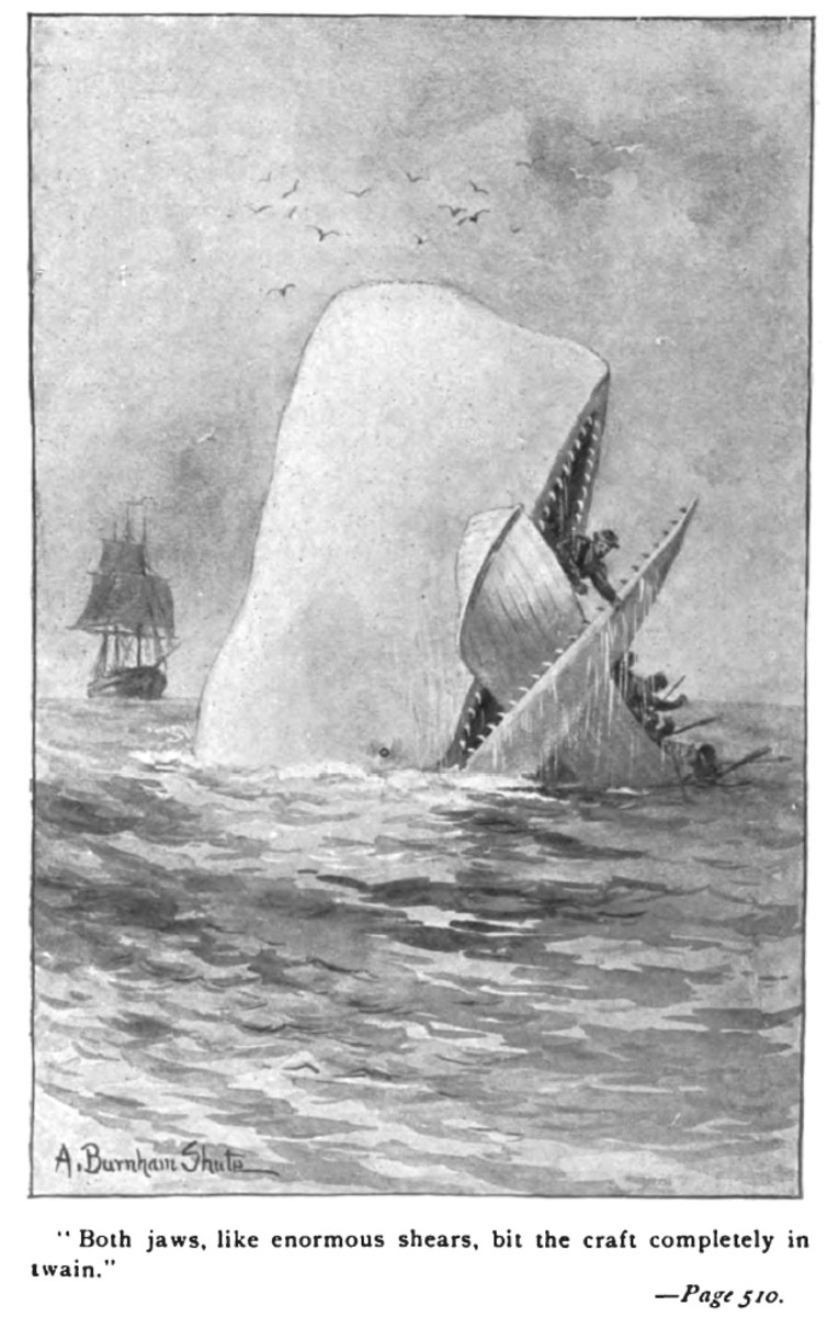  By A. Burnham Shute (Moby-Dick edition - C. H. Simonds Co) [Public domain], via Wikimedia Commons