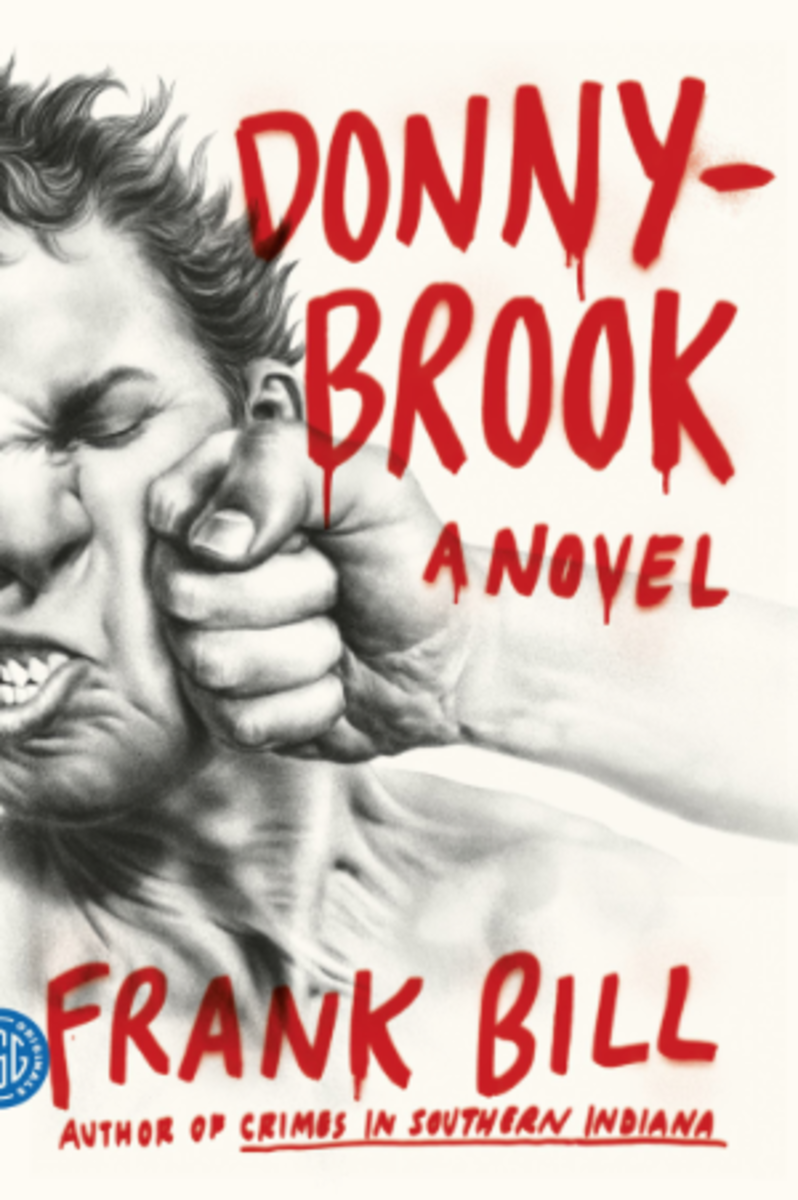 donnybrook-donny-brook-novel