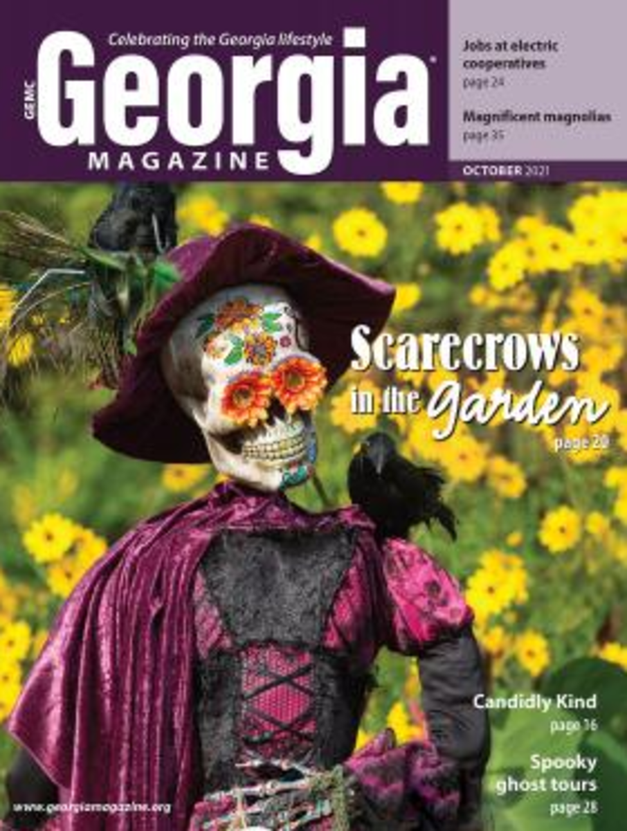 Georgia Magazine