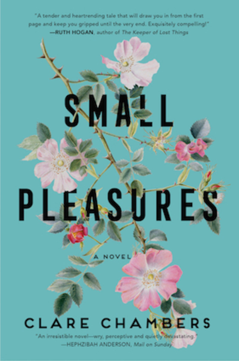 small_pleasures_a_novel_by_clare_chambers_book_cover_image