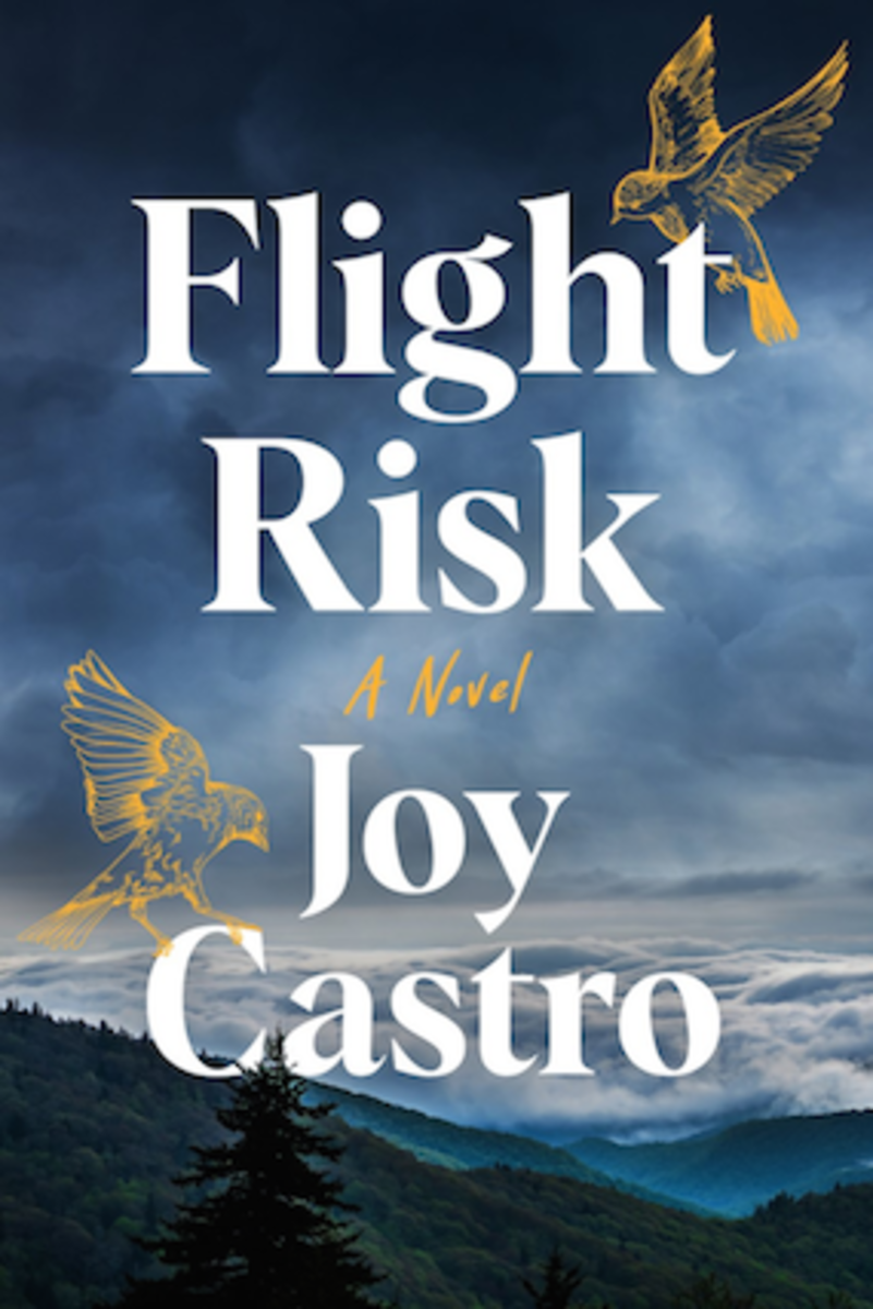 Joy Castro: On Ambitious Characters in Literary Fiction