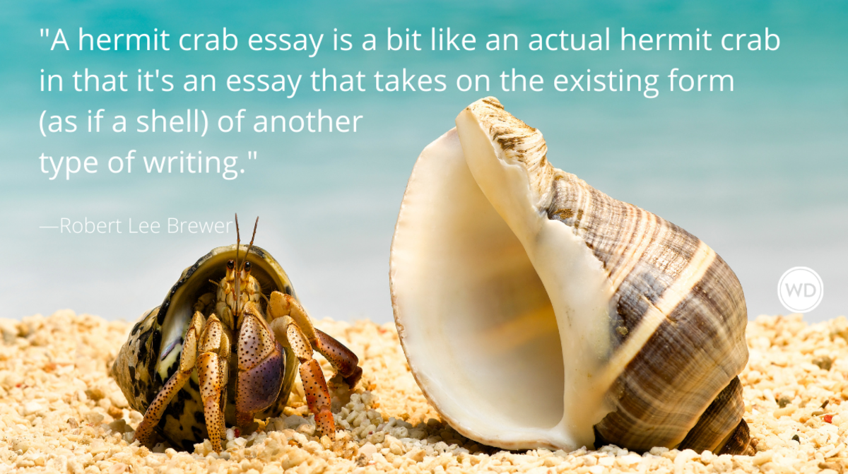 What Is a Hermit Crab Essay in Writing?