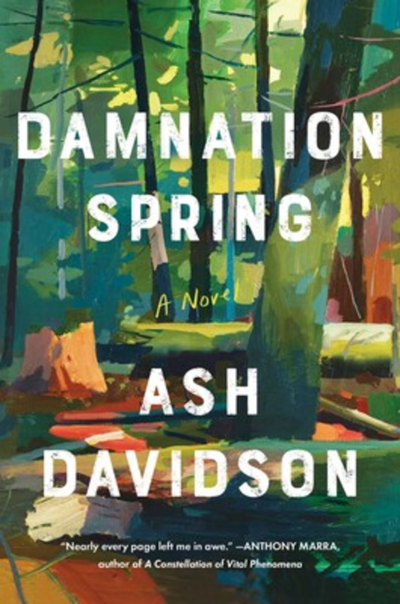 Damnation Spring | Ash Davidson