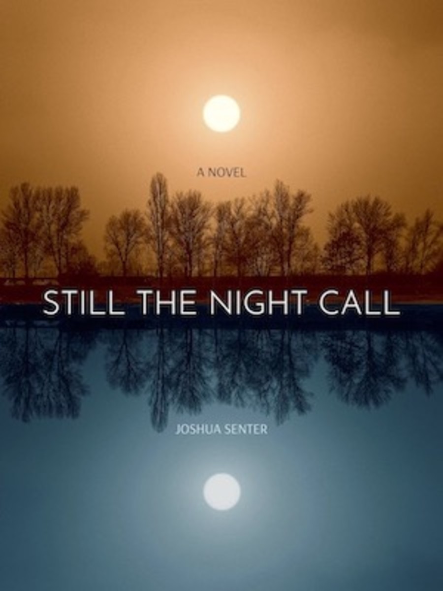 Still The Night Call Book Cover