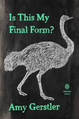 Is This My Final Form?, by Amy Gerstler
