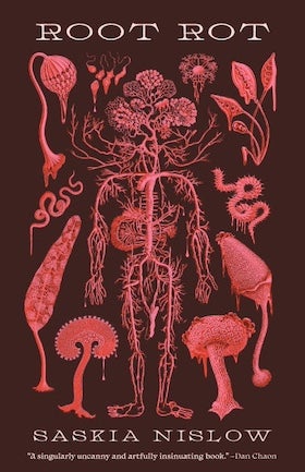 A book cover for "Root Rot" by Saskia Nislow. The cover features a dark brown background with a detailed, anatomical-style illustration in shades of pink and red. The central image resembles a human skeleton intertwined with plant roots and fungal growth, creating a disturbing and organic fusion. Various stylized depictions of fungi, spores, and plant-like forms surround the central figure. The title, "ROOT ROT," is written in a distressed, uppercase serif font at the top. The author's name, "SASKIA NISLOW," is at the bottom in a similar font. Below the author's name, a quote in smaller font reads, "A singularly uncanny and artfully insinuating book." - Dan Chaon." The overall aesthetic is unsettling, surreal, and suggestive of themes related to decay, transformation, and the grotesque.