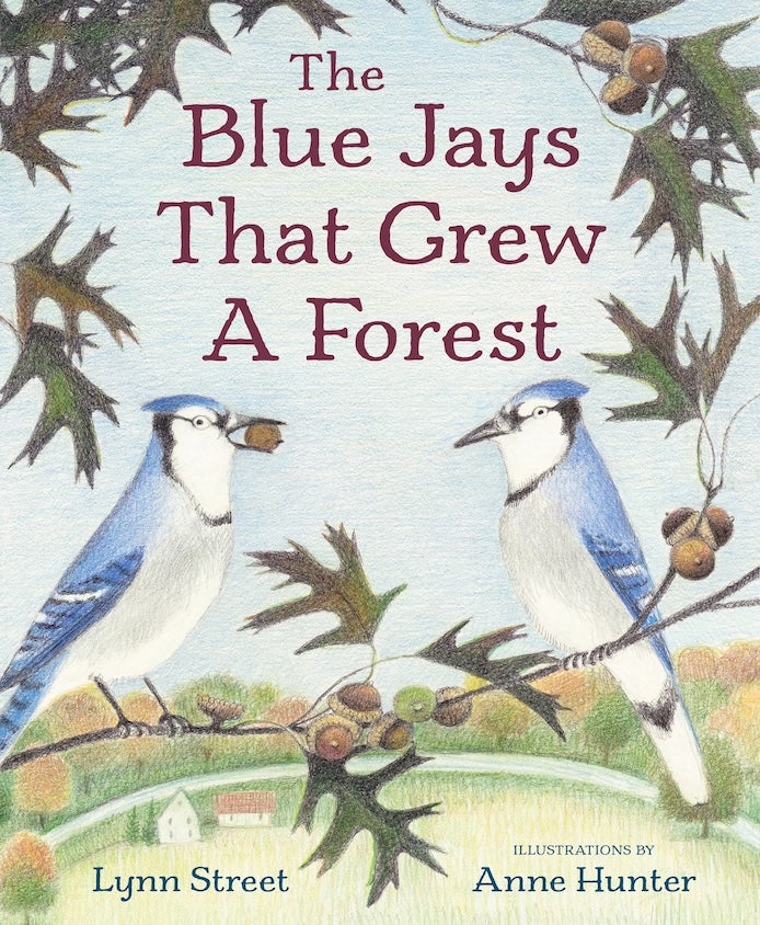 The Blue Jays That Grew a Forest, by Lynn Street