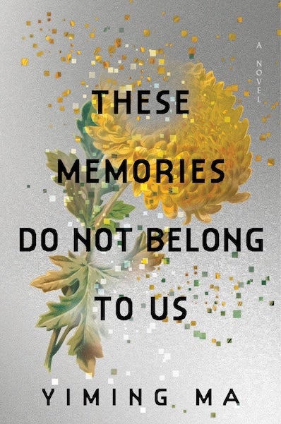 These Memories Do Not Belong To Us, by Yiming Ma