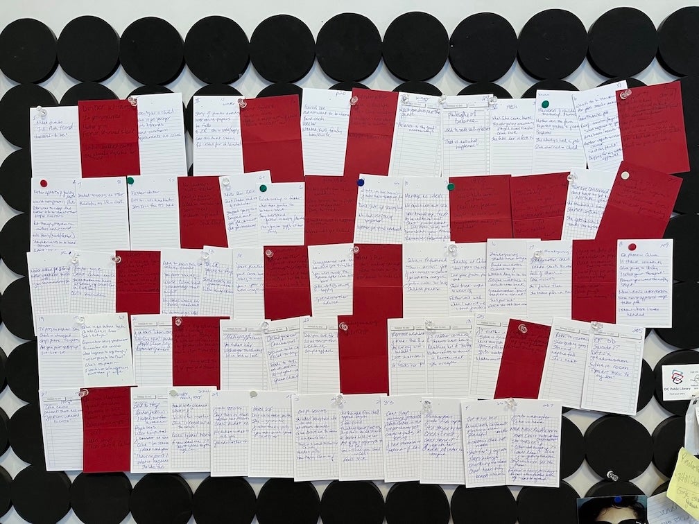 Story Map - Lisa K. Friedman