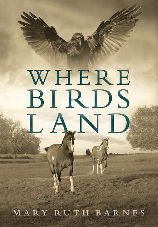 Where Birds Land, by Mary Ruth Barnes