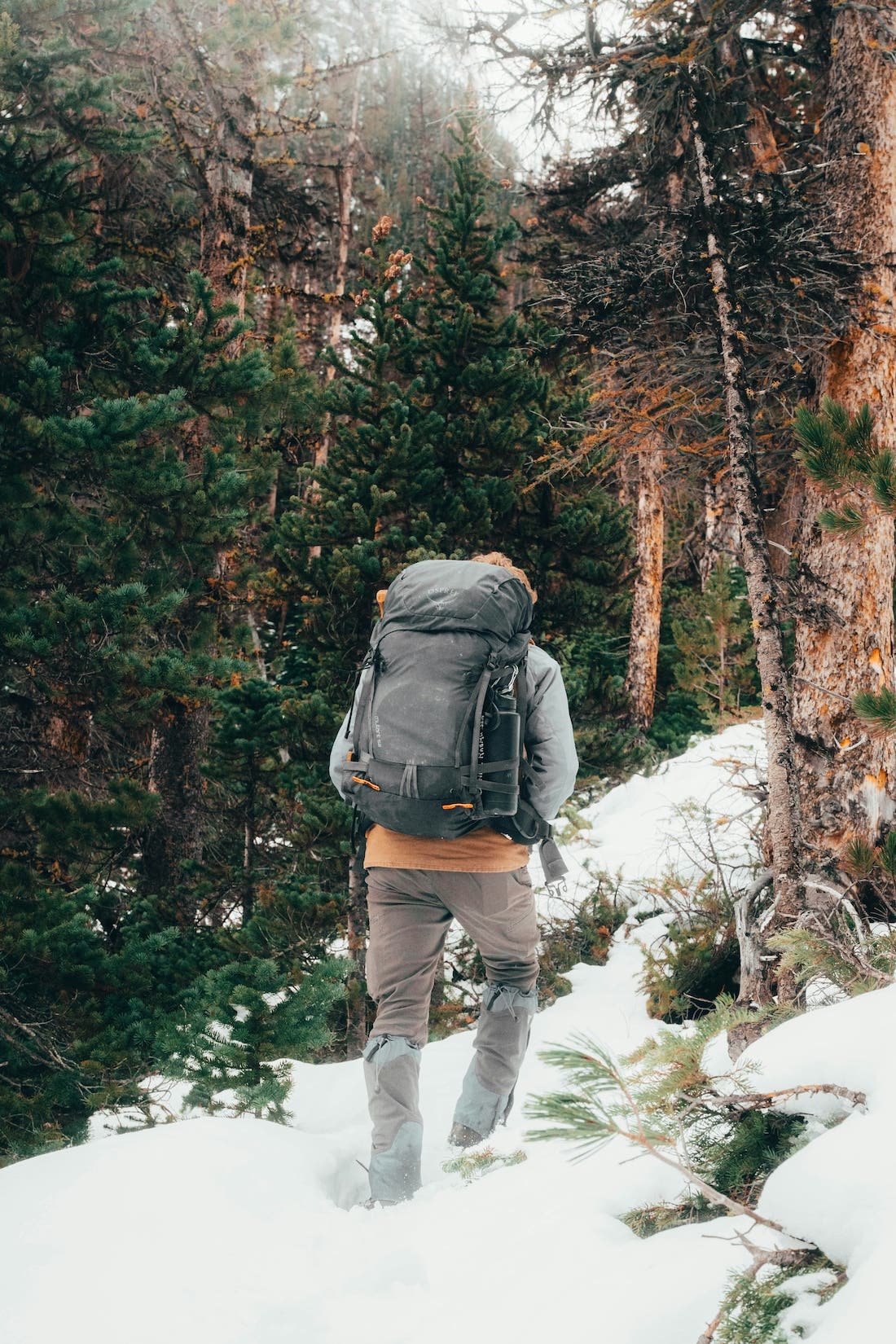 A snowy forest and a man with a hiking backpack walking away from the camera into the woods.