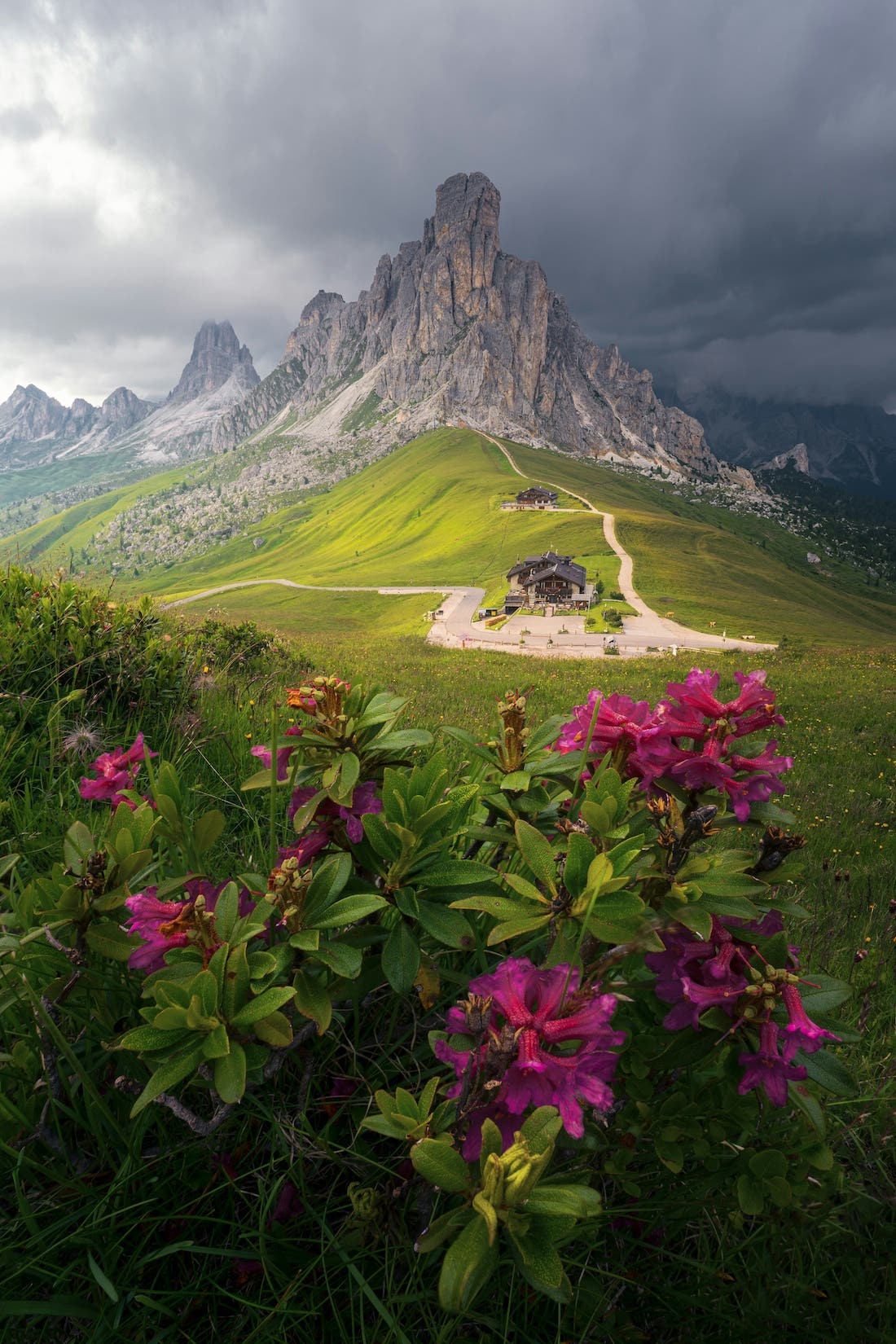 A long-range shot with a bush of pink flowers in the foreground, a few homes on a hillside in the middle ground, and large, rocky mountains in the background.