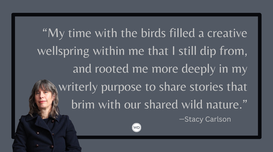 Crow Games and Storm Petrel Dreams: How Working as an Ecologist Made Me a Better Fiction Writer, by Stacy Carlson